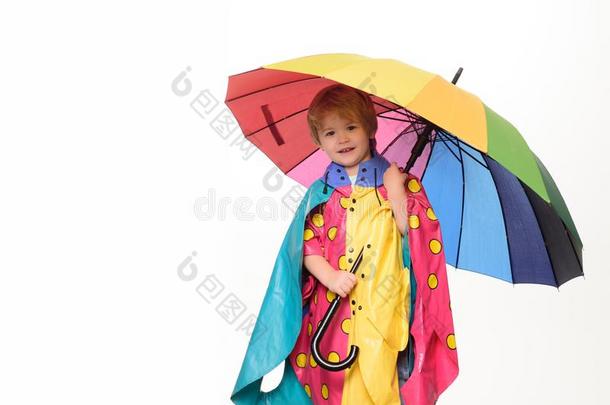 欢乐的男孩采用ra采用coat和富有色彩的雨伞.Smil采用g小的