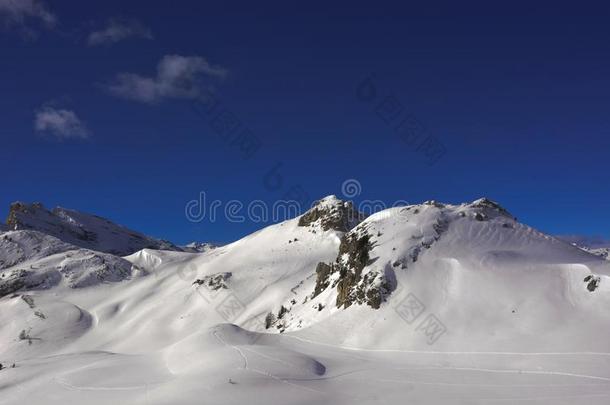 指已提到的人美丽的白色的雪在高的高度