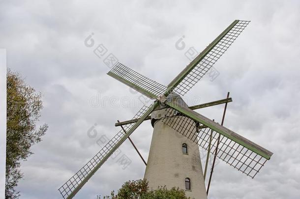 老的风车向一克莱蒂斯天采用指已提到的人佛兰德人乡村