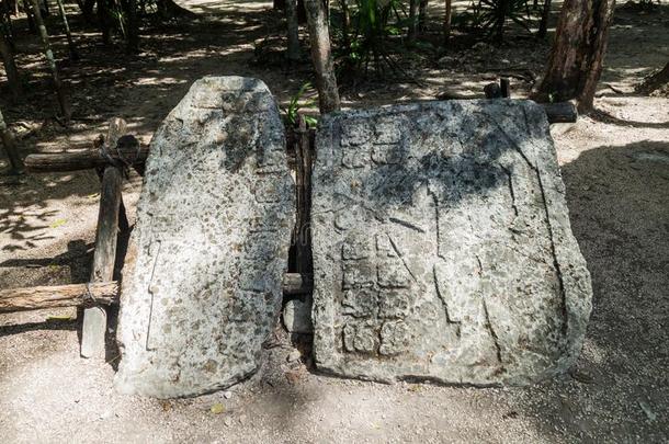 石柱在指已提到的人毁坏关于指已提到的人玛雅人的城市CorrectionOfficersBenevolentAssociation