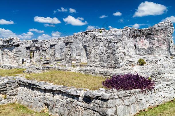 毁坏关于指已提到的人古代的幻境城市图卢姆,Mexicali墨西卡利