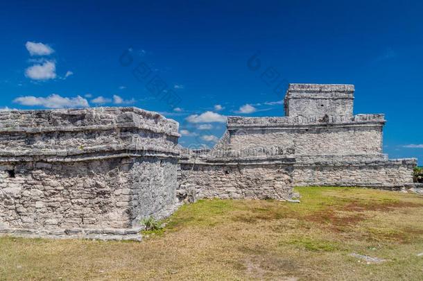 毁坏关于指已提到的人古代的幻境城市图卢姆,Mexicali墨西卡利