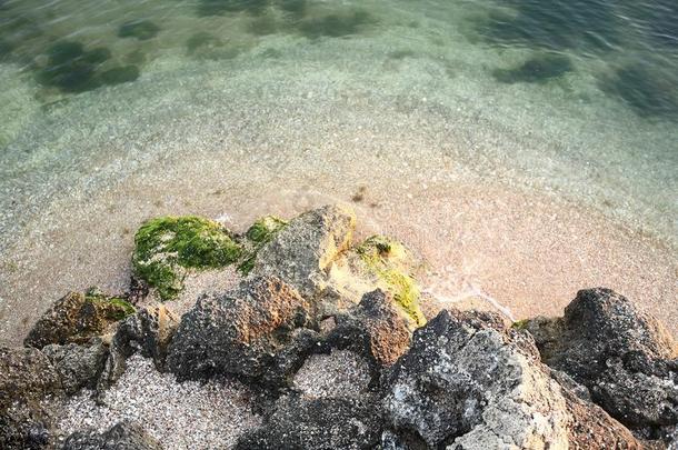 海海岸和岩石和绿色的热带的环礁湖海水