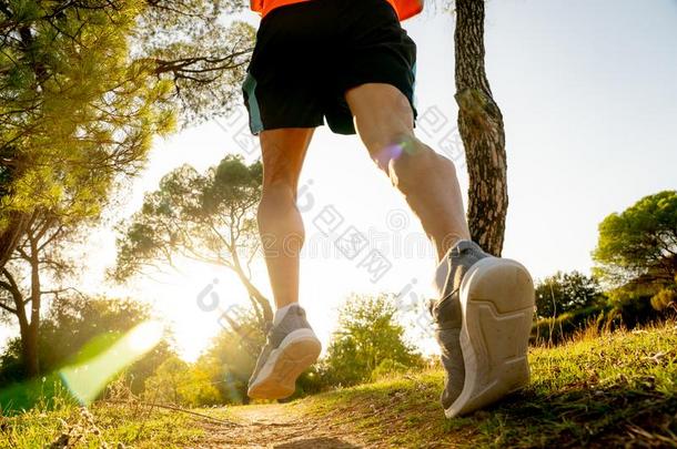 强的赛跑者训练向乡下的小路慢跑在日落采用n在ur