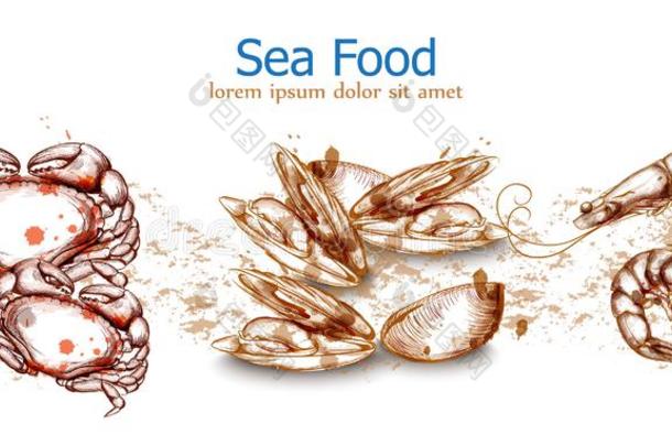 海产食品隔离的样板蟹,贻贝,海产食品矢量.新鲜的英语字母表的第2个字母