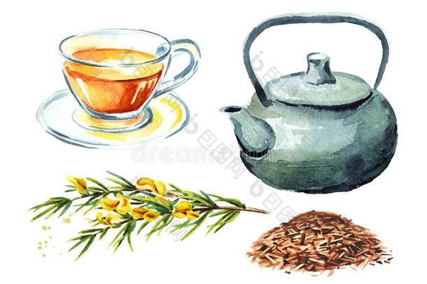 红叶<strong>茶树</strong>健康的有机的茶水放置,和杯子,茶水pot和树枝关于