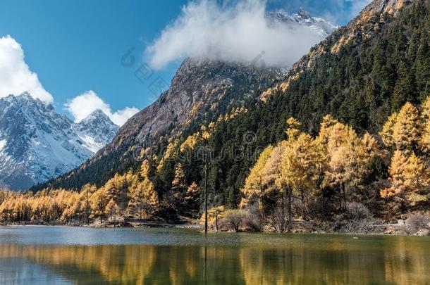 雪山风景采用晚的秋采用嘟嘟声山谷风景优美的是