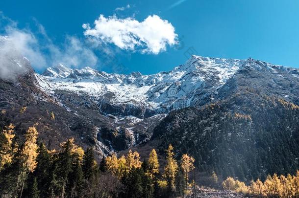 雪山风景采用晚的秋采用嘟嘟声山谷风景优美的是