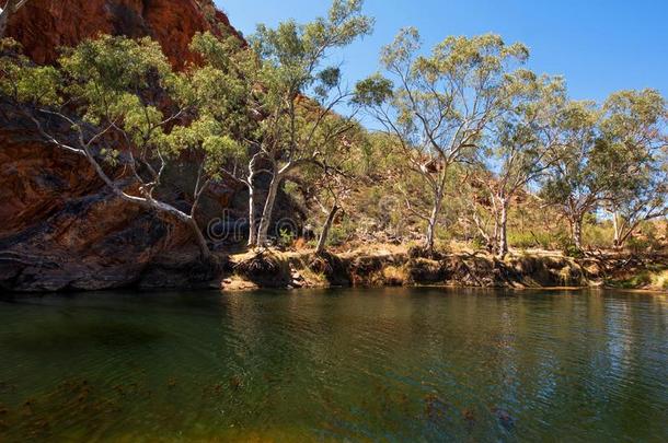 埃勒里Hilary的变体小湾大的洞,北方的领土,澳大利亚