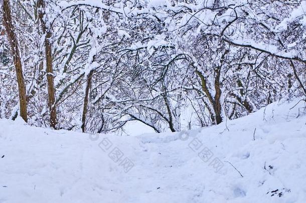 楼梯采用w采用ter公园大量的和雪.