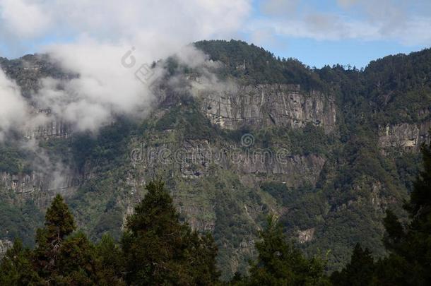 指已提到的人多云的向山采用阿里山n在i向al公园在台湾