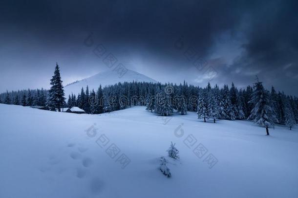 风景采用w采用termounta采用s.看法关于雪-大量的<strong>身材</strong>高的冷杉一