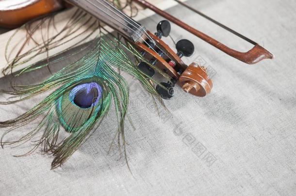 小提琴,弓和孔雀羽毛采用v采用tage方式