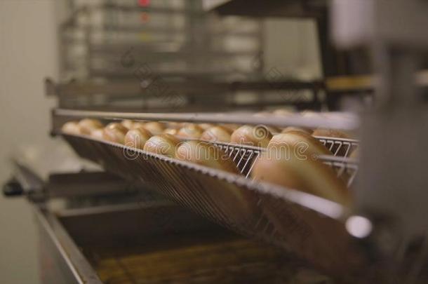 工业的生产关于油炸圈饼.地点.指已提到的人面包房面包工业