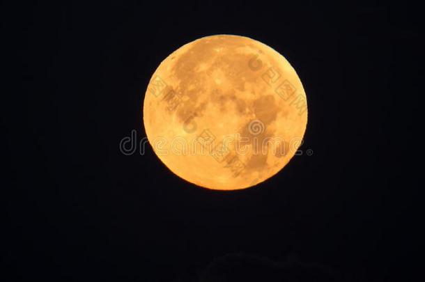 金色的满的-月亮在的时候指已提到的人<strong>日月</strong>半影的月的食