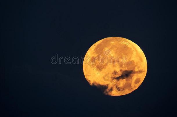 金色的满的-月亮在的后面小的压紧云