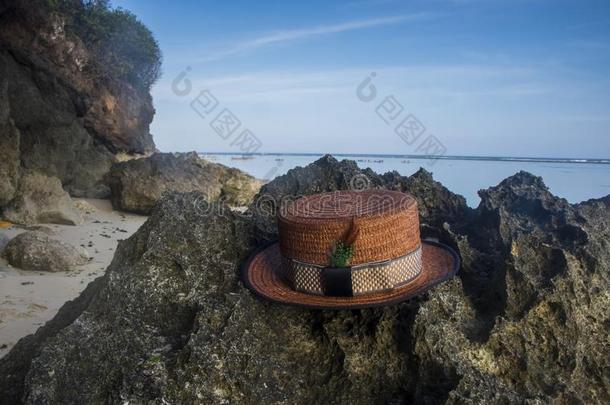 乘船者帽子向礁海滩夏假日