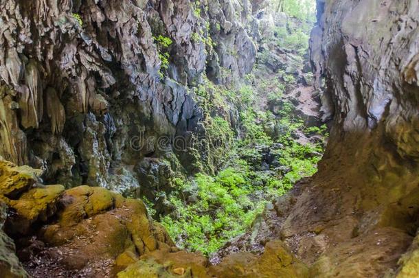 水平洞穴elevation仰角贾丁花园洞穴,部分关于指已提到的人坎德拉里亚洞穴复杂