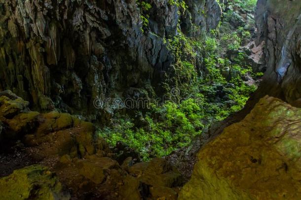 水平洞穴elevation仰角贾丁花园洞穴,部分关于指已提到的人坎德拉里亚洞穴复杂