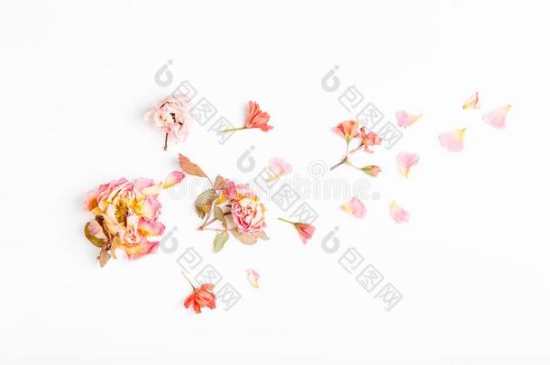 花作品.框架使关于干燥的玫瑰花向白色的英语字母表的第2个字母