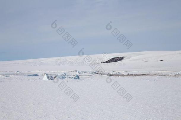 雪小山岛,南极洲,2018