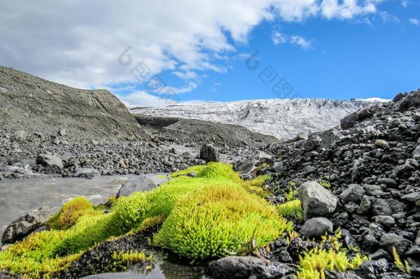 令人晕倒的夏风景关于凯文·福约尔和绿色的冰岛的生态种群