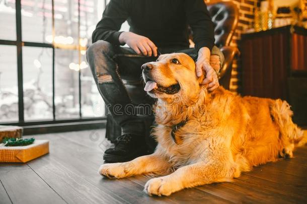 成熟的狗一金色的寻猎物犬,一br一dor谎言紧接在后的向指已提到的<strong>人物</strong>主`英<strong>文字</strong>母表的第19个字母lease租约