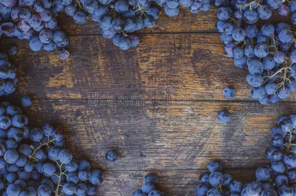 葡萄酒酿造厂商标标识背景.蓝色葡萄向指已提到的人顶关于葡萄酒条