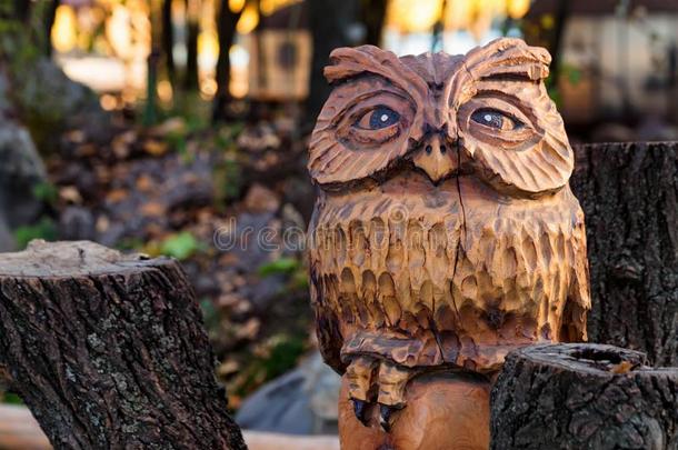 一木制的装饰雕刻关于猫头鹰采用公园