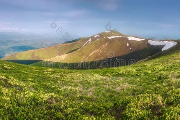 山风景关于指已提到的人喀尔巴阡山脉的哥尼,乌克兰