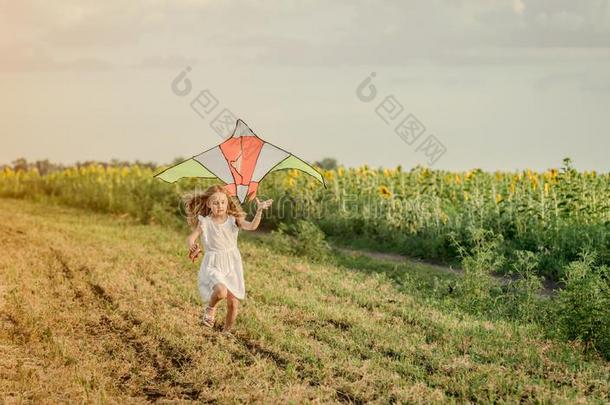 小的漂亮的女孩飞行的一风筝