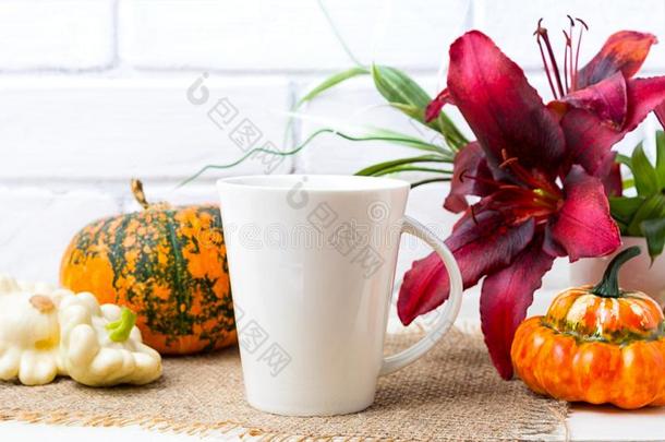 白色的大的咖啡豆拿铁咖啡马克杯假雷达和南瓜和红色的百合花