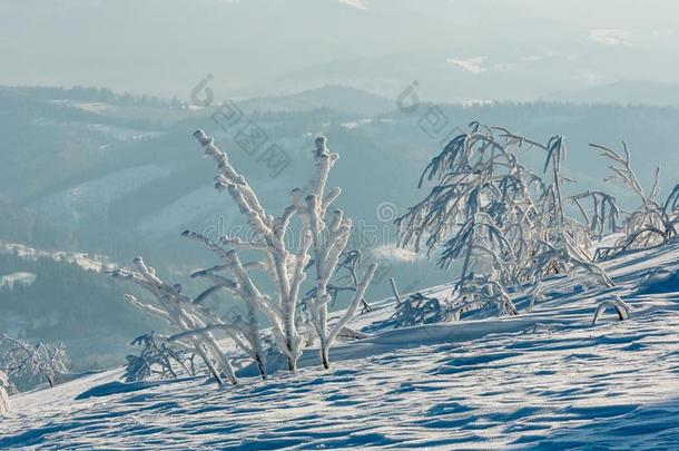 <strong>冬山</strong>下雪的风景