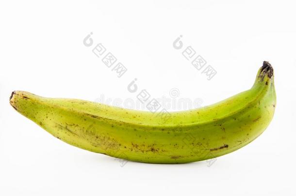 车前草或绿色的香蕉隔离的采用白色的背景
