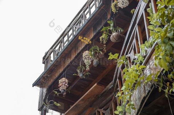 乡村的木制的房屋和椰子树壳花盆.阳台关于本国的