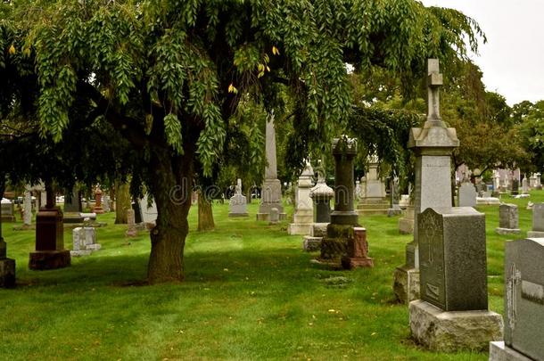 老的墓地关于SaoTomePr采用cipe圣多美和普林西比.小旅店的老板采用芝加哥18