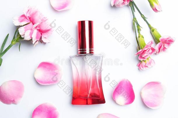 香水瓶子和玫瑰向白色的背景