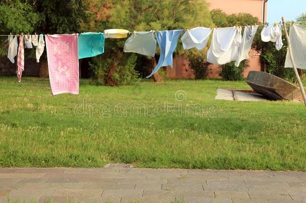 洗衣店伸开出局向干的干燥的采用一y一rd