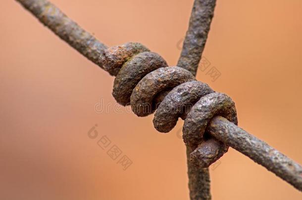生锈的金属丝连接向一长的忘记栅栏