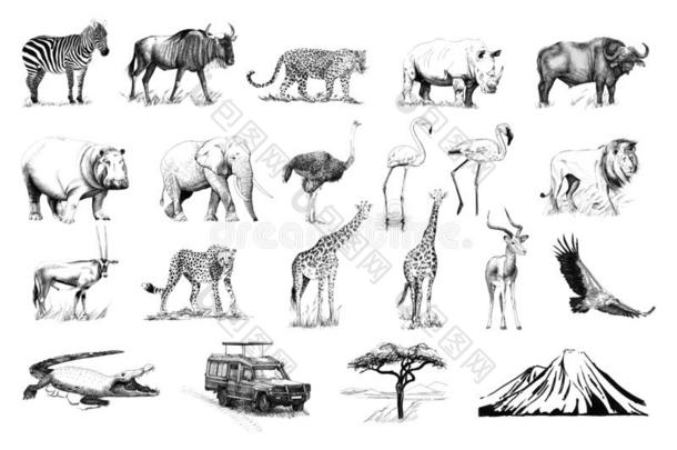 放置关于许多非洲的动物和汽车,树,山h和疲惫的我