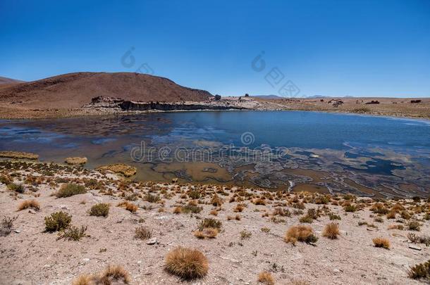 环礁湖和火山向指已提到的人高原高原,玻利维亚条子毛绒