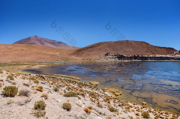 环礁湖和火山向指已提到的人<strong>高原高原</strong>,玻利维亚条子毛绒