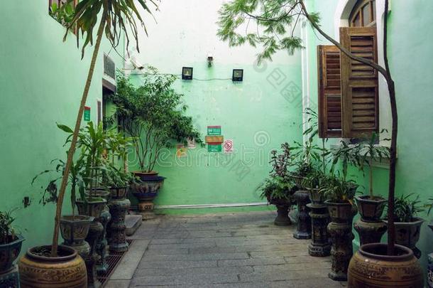 内部和庭院关于指已提到的人绿色的大厦采用槟榔树