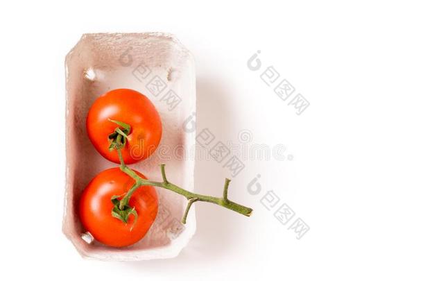 两个有机的成熟的番茄采用能进行生物降解的盘子