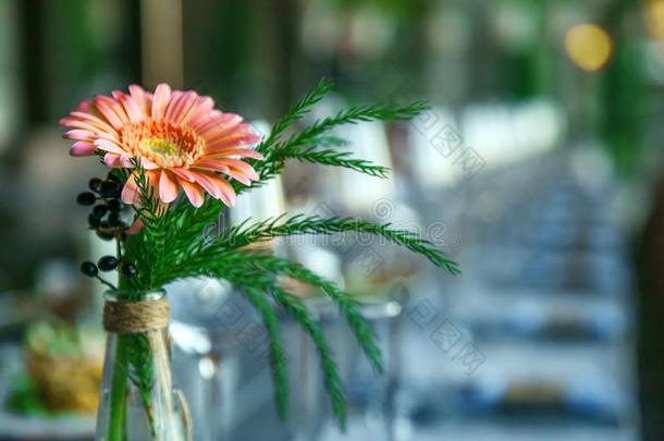 透明的玻璃装饰瓶和颜色鲜艳的花束关于花反对