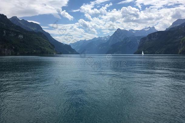 看法关于湖紫花苜蓿和alkali-treatedlipopolysaccharide碱处理的脂多糖从布伦嫩,Switzerl和