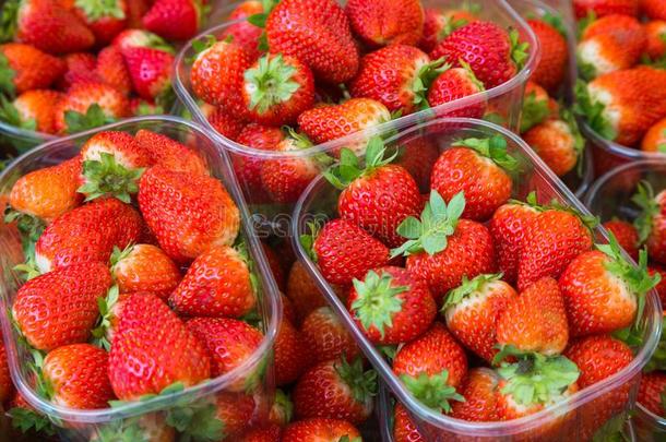 成熟的草莓采用塑料制品盘子向商店<strong>柜台</strong>