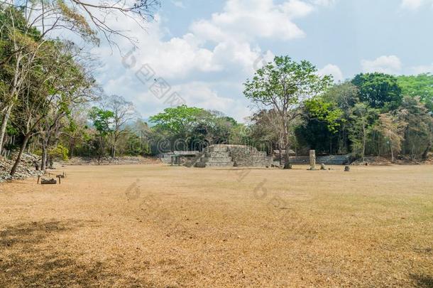 伟大的市场在指已提到的人考古学的地点考潘轴承合金,洪都拉斯
