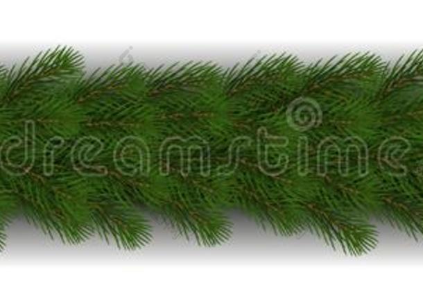 绿色的圣诞节边关于松树<strong>树枝</strong>和<strong>阴影</strong>矢量使隔离