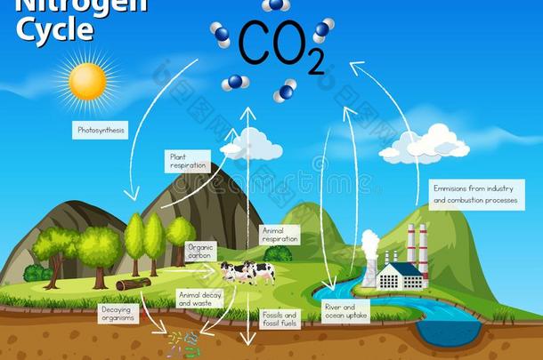 <strong>科学</strong>氮循环Colombia哥伦比亚2